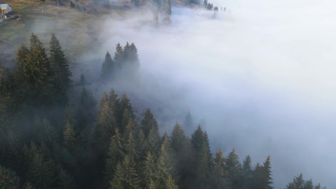 飞过山顶的云层。山峰高耸，清晨日出，自然景观优美