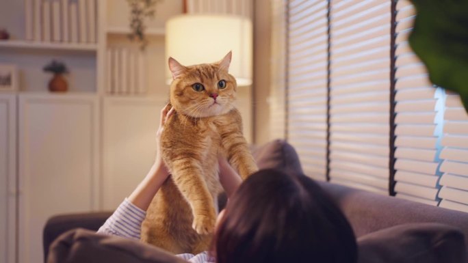 亚洲妇女抱着小猫在家里快乐地玩耍。迷人美丽的女性躺在沙发上，在家里的客厅里温柔地亲吻她的宠物