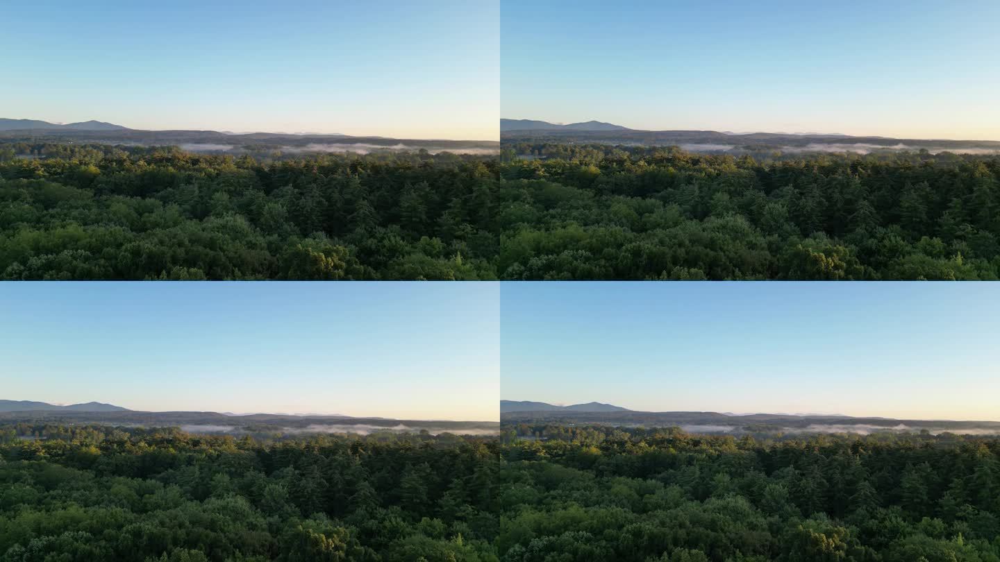 清晨日出时雾气缭绕的山景(纽约州北部哈德逊河谷卡茨基尔山脉的黎明，森林景观)