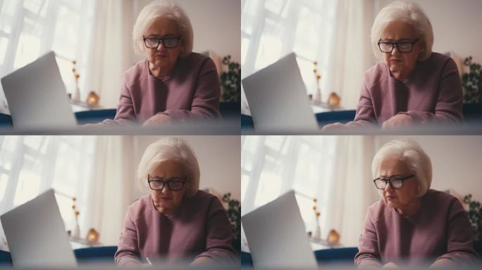 老年女性用笔记本电脑计划开支，报税，女商人