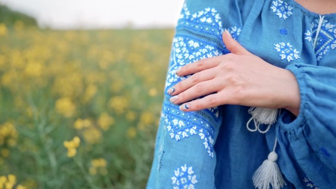 女士在展示蓝色刺绣装饰在vyshyvanka衬衫的美丽细节。乌克兰民族服装，质地，设计，民间，手工工