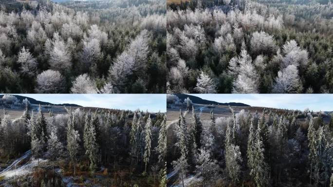 冬季森林自然白雪覆盖的冬季树木高山景观清晨日出假日旅游霜冻的树顶鲜艳的色彩空中4k