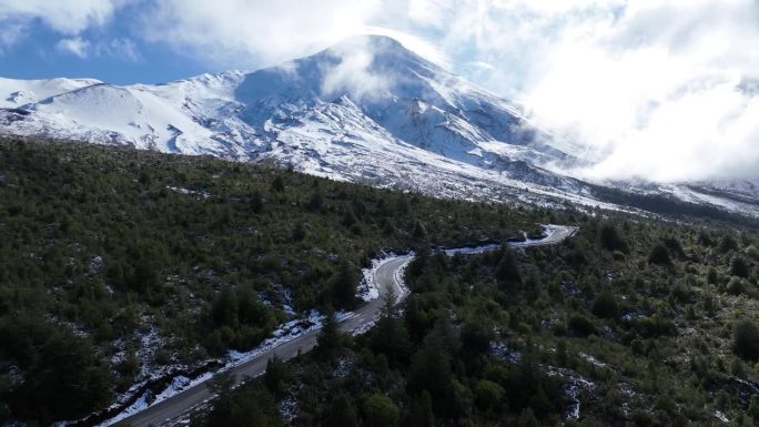 智利巴塔哥尼亚瓦拉斯港的奥索尔诺火山