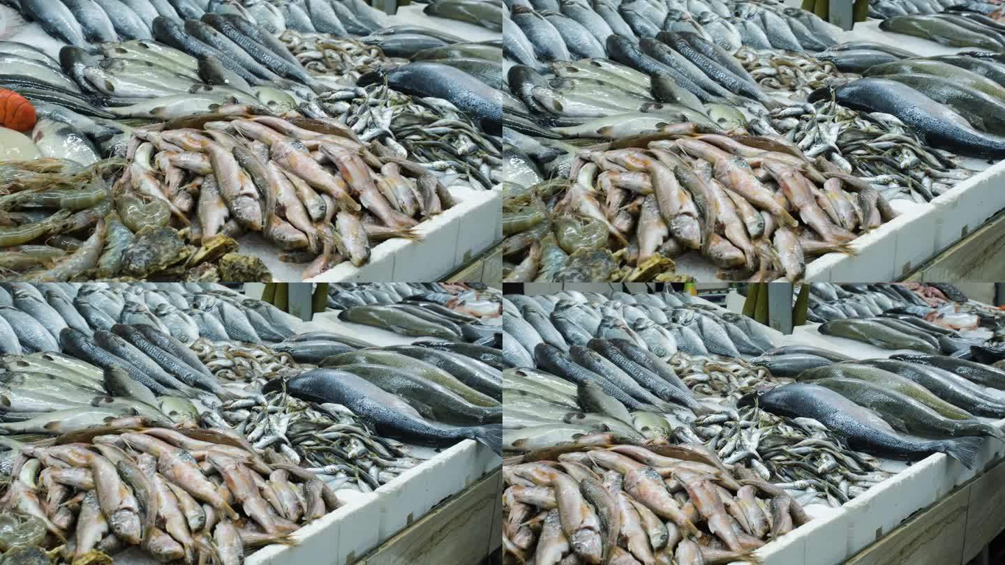 鱼市货架上的各种生海鲜