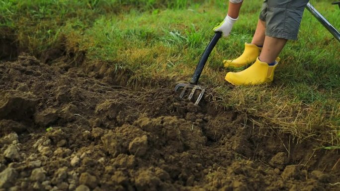 农民在花园里用手工工具耕地。土壤松动。园艺的概念。耙子和铁锹在松散的土壤上。种植园的农业工作。