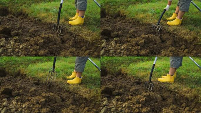 农民在花园里用手工工具耕地。土壤松动。园艺的概念。耙子和铁锹在松散的土壤上。种植园的农业工作。