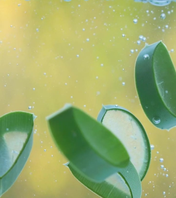 绿色芦荟植物叶片落在水中