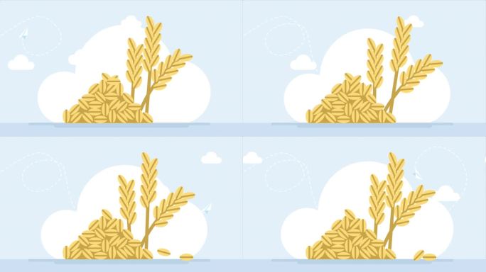 小麦和谷物穗。金色的玉米穗。谷物植物和谷物，黑麦和小麦穗穗。食品包装设计模板，雕刻食品。二维平面亮动