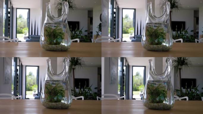 缓慢的轨道拍摄围绕一个小植物淹没在水里的花瓶在桌子上