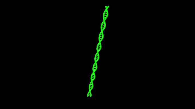 3D DNA在黑色bg上旋转。物体溶解了闪烁的微粒。科学的医学理念。用于标题，文本，演示。3d动画6