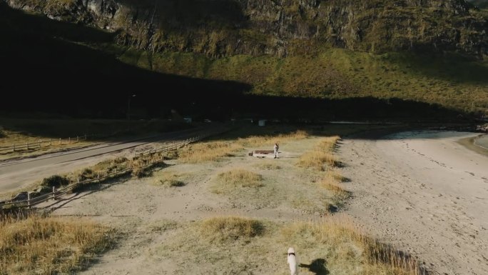 在Senja群岛的海滩上，一只白色的瑞士牧羊犬向它的男主人跑去