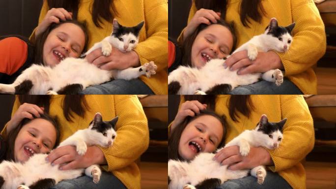 动画微笑着，快乐的黑发女孩轻轻地握住黑白猫爪，和有趣的困猫玩耍。宠物收养