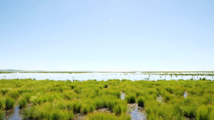 若尔盖国家湿地公园全景图
