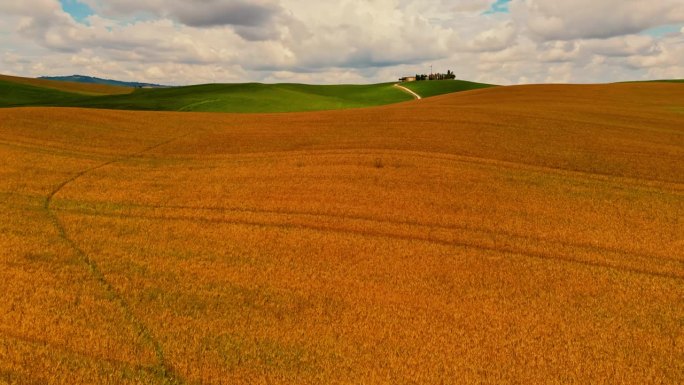 无人机视角下金色农田中的乡村景观