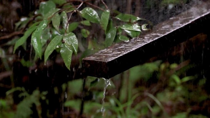 雨滴。季节变化。暴雨季节