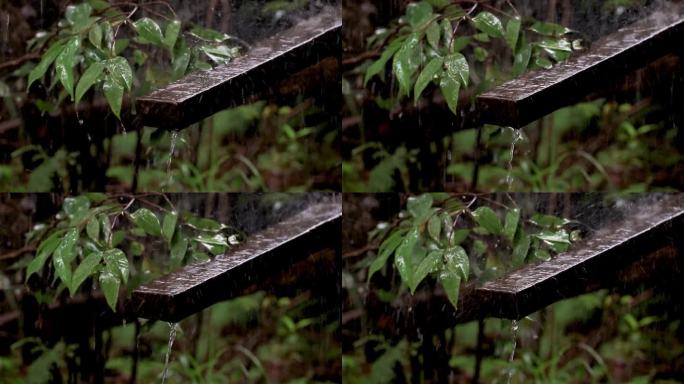 雨滴。季节变化。暴雨季节