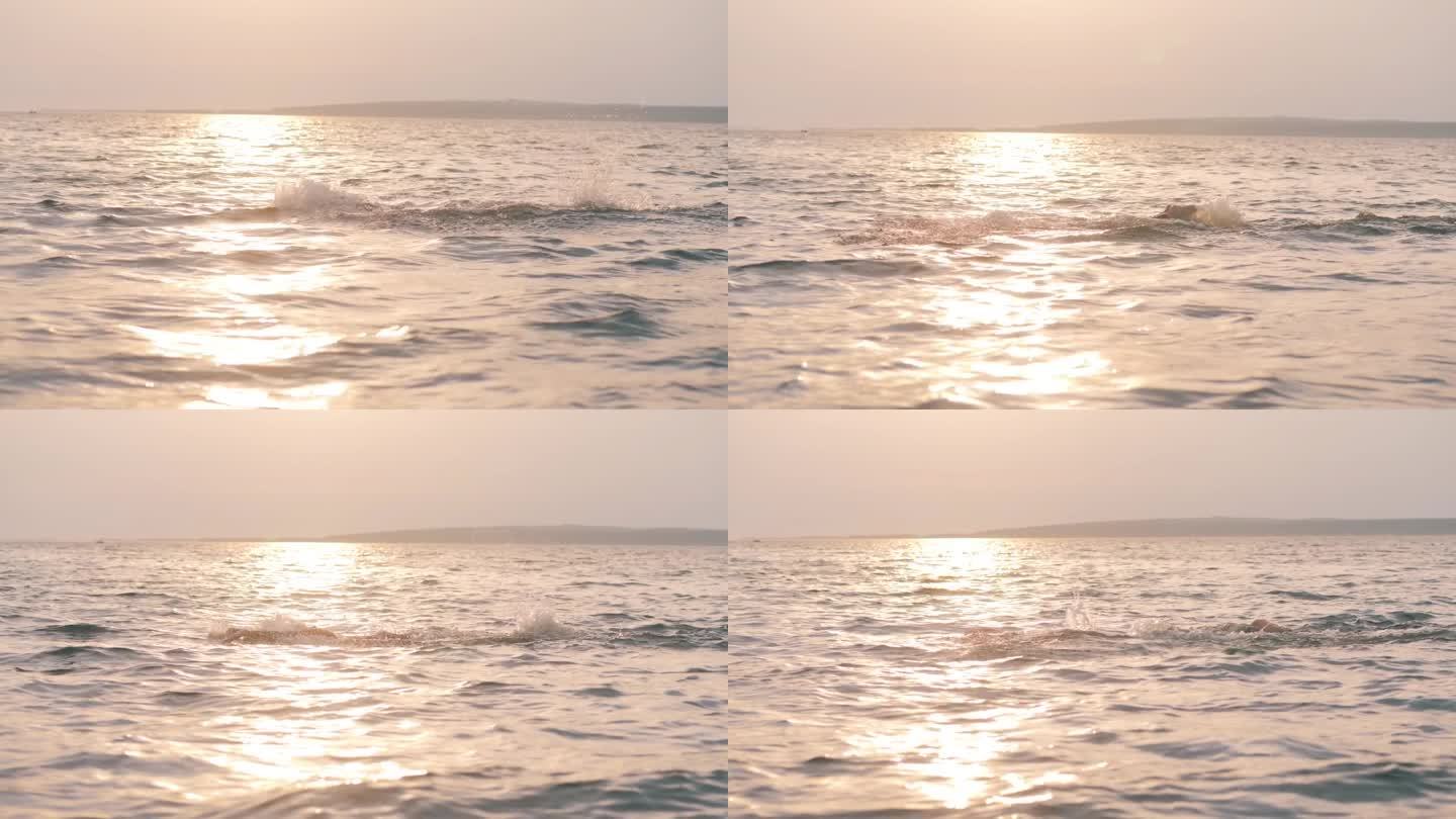 夕阳西下的大海，一位专业游泳运动员正在穿越