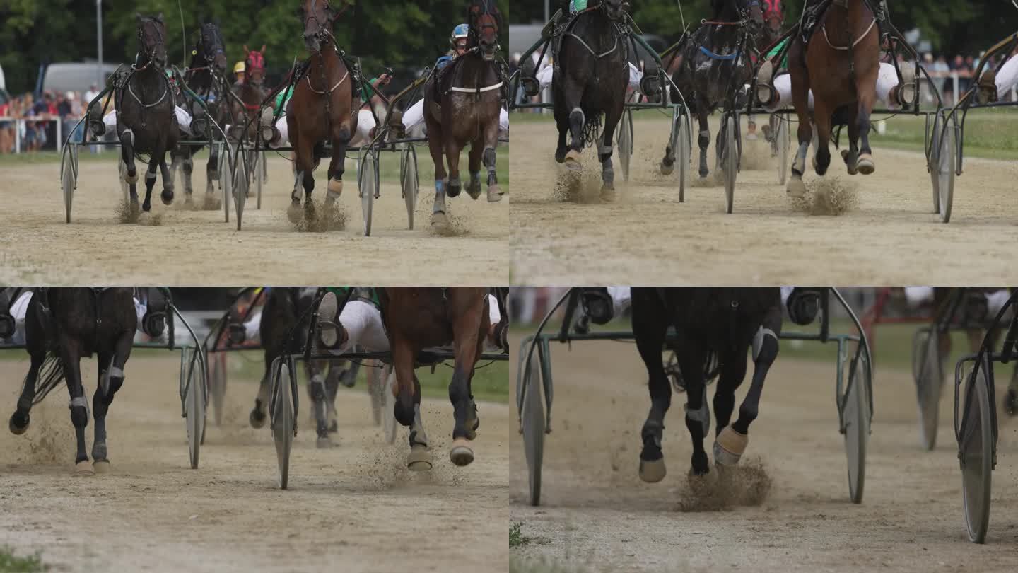 SLO MO赛车手与马在一个肮脏的赛道上比赛