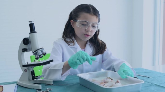 白人小学女生在教室里学习科学。