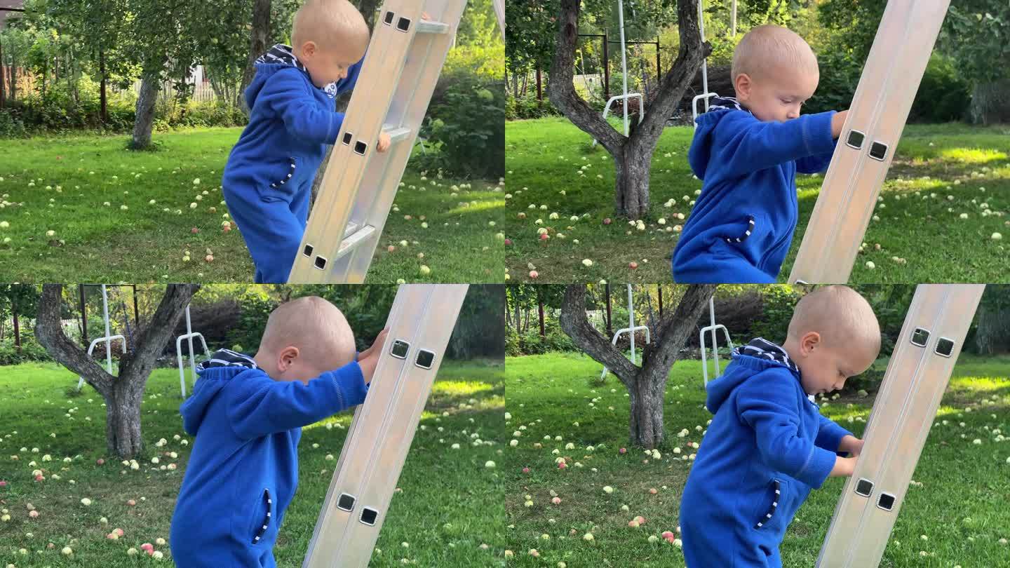 蹒跚学步的小男孩在花园里爬梯子