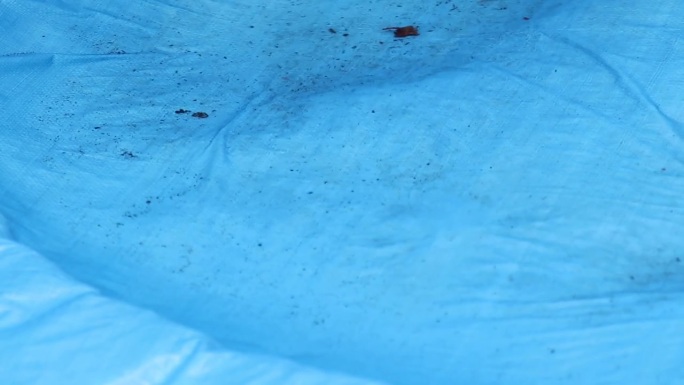 雨水积聚在室外的一块蓝色篷布上