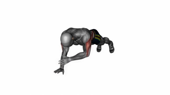 平板肩膀轻拍健身运动锻炼动画男性肌肉突出演示4K分辨率60 fps
