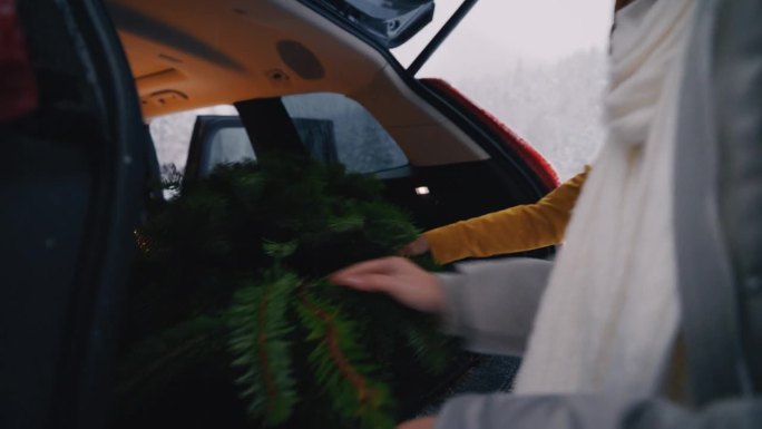 妇女把圣诞树装进汽车后备箱