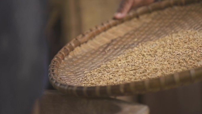 一位年长的亚洲妇女手持竹篓或藤篓筛稻谷，将稻谷和稻壳分开。