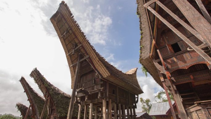 塔纳托拉贾印度尼西亚-帕拉瓦村传统房屋-时间推移