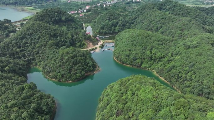 一个男人在湖里玩划桨冲浪