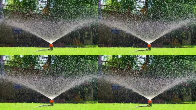 夏季花园草坪喷水喷灌技术。在旱季给绿色植物浇水。