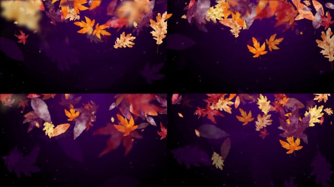 秋天深紫色的背景与明亮的黄色落叶。抽象的循环运动图形与模糊。副本的空间。