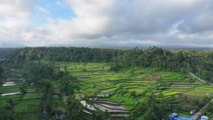 印度尼西亚巴厘岛，阿贡火山的无人机日落场景，前景是稻田梯田。