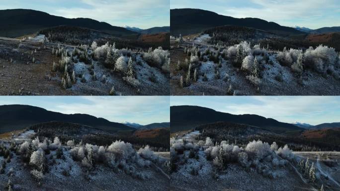 冬季森林自然白雪覆盖的冬季树木高山景观清晨日出假日旅游霜冻的树顶鲜艳的色彩空中4k