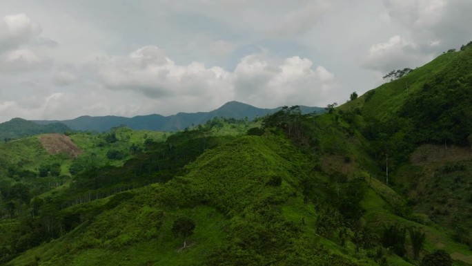 菲律宾的山坡和青山。