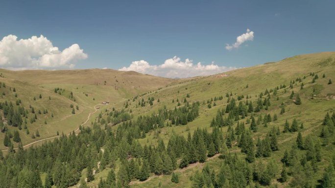 一架无人机在意大利多洛米蒂卢岑村附近茂密的森林和草地上翱翔。一次宁静的空中之旅，领略大自然的美丽。可