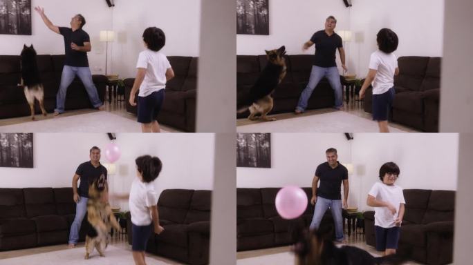 一个混血儿家庭在客厅里和他们的狗玩耍