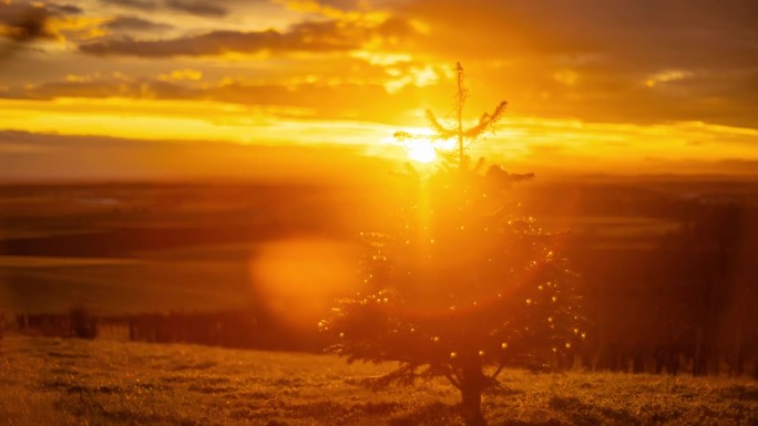 TM风景如画的云景和美丽的镜头耀斑在日落的圣诞树上闪耀