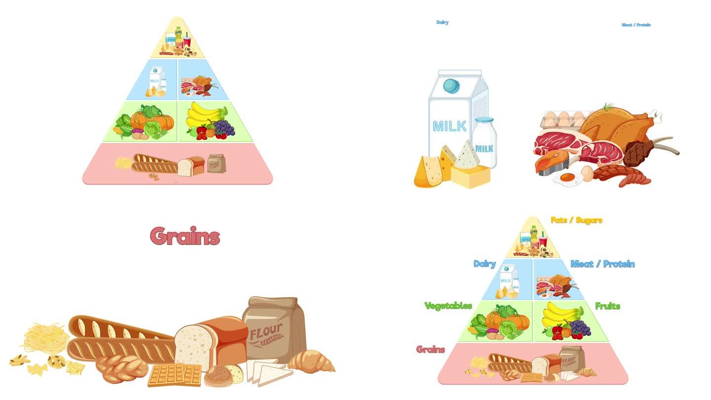 常量营养素食物金字塔动画