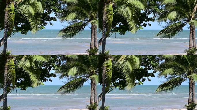 阳光明媚的日子里，通过椰子树欣赏热带海滩，棕榈树摇曳的慢动作场景