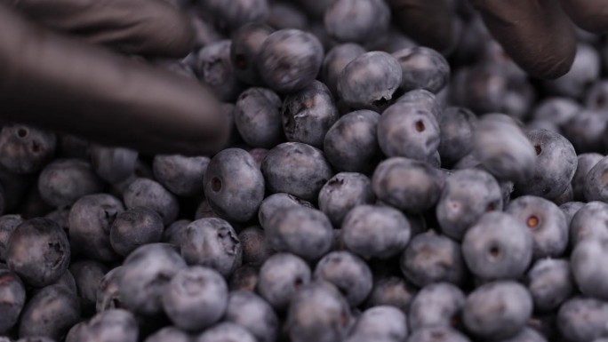 香甜可口的蓝莓在销售前储存