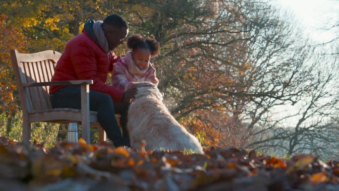父亲和女儿坐在长椅上，带着宠物狗在秋天的乡村散步