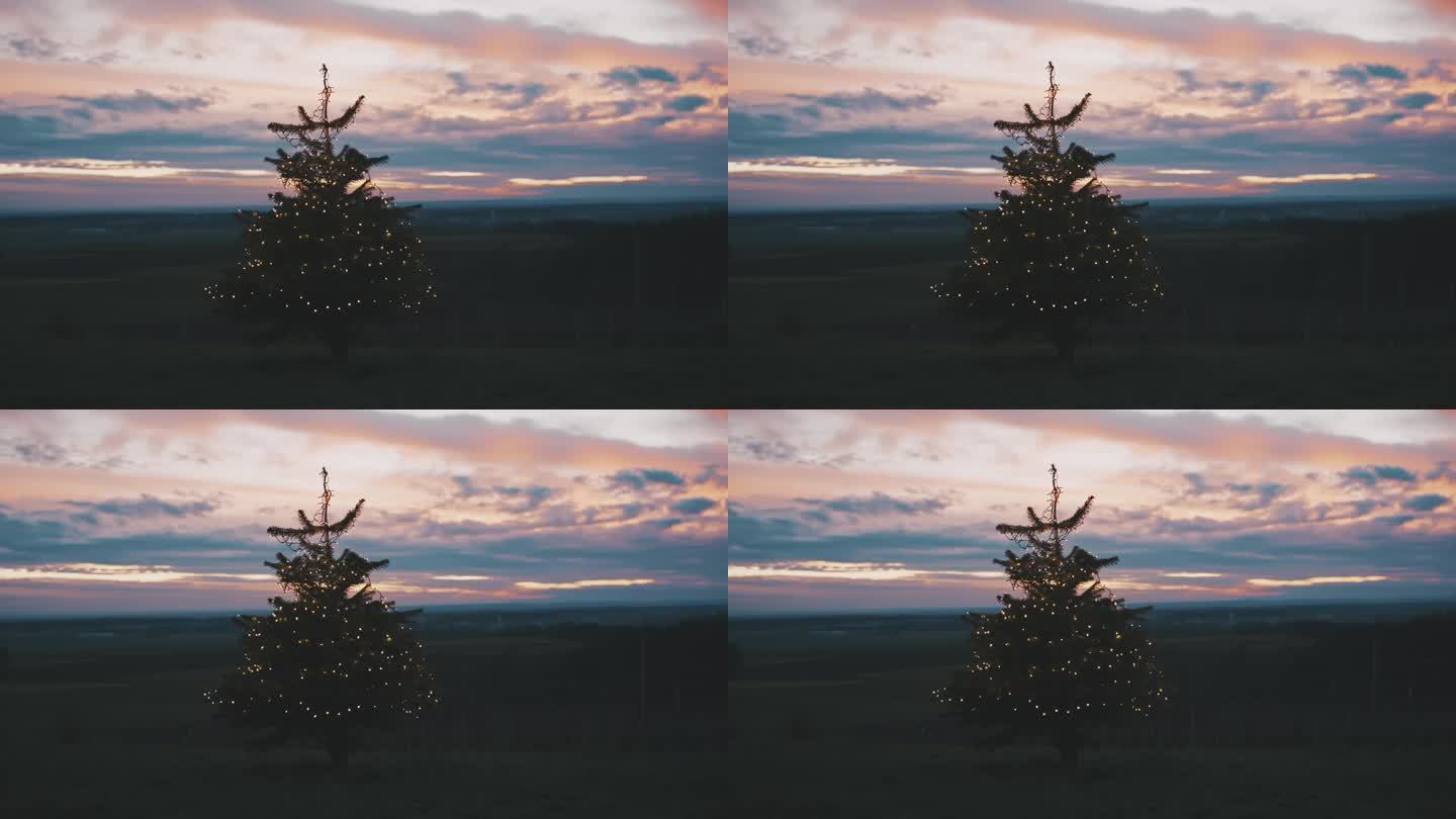 日落时分，乡村葡萄园上方的小山上，圣诞树上的串灯