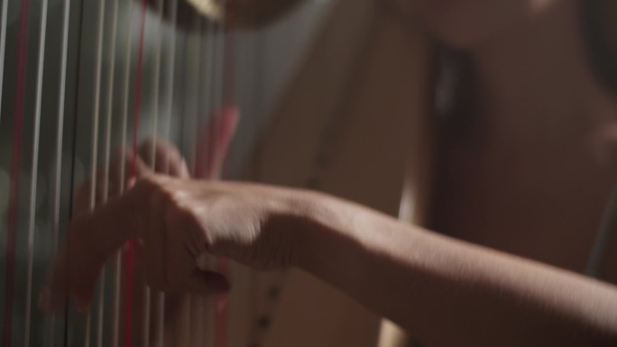 性感的女音乐家在工作室演奏竖琴