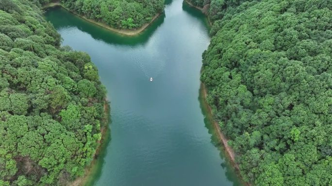 一个男人在湖里玩划桨冲浪