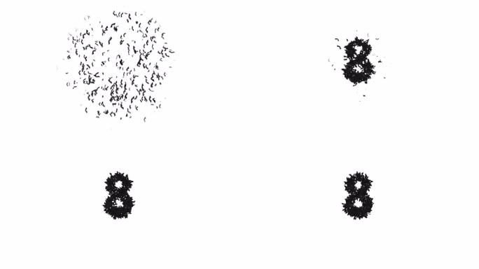 动画万圣节字体形成的飞行蝙蝠字符8与alph