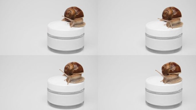 在浅灰色的背景上，一只蜗牛在一罐面霜的盖子上爬行。靠近点，复制左边的空间。
