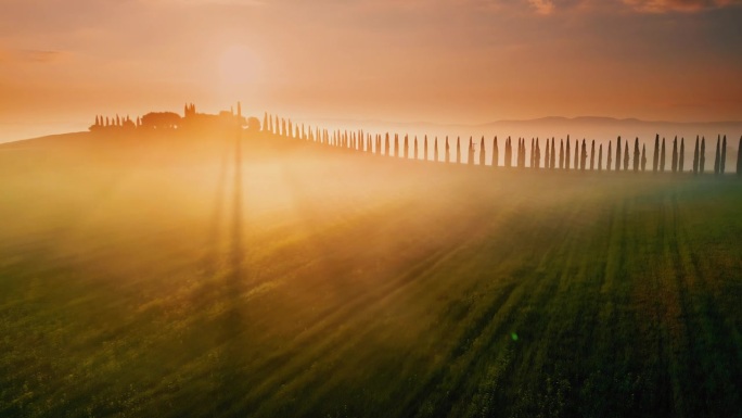 雾霭中的日出，笼罩在田园诗般的宁静乡村景色之上。意大利托斯卡纳