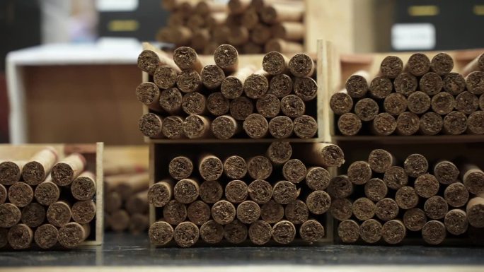 桌子上的木盒里装着许多刚卷好的手工制作的古巴雪茄。这家工厂生产世界上最好的雪茄