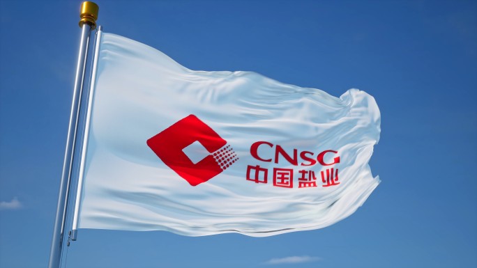 中国盐业集团旗帜